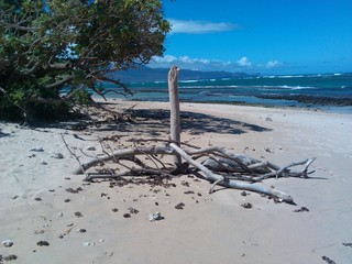 sieht nach Entspannung aus :-) sieht nach Entspannung aus :-)