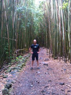 Mann sieht den Rajko vor lauter Bäumen nicht ... Mann sieht den Rajko vor lauter Bäumen nicht ...