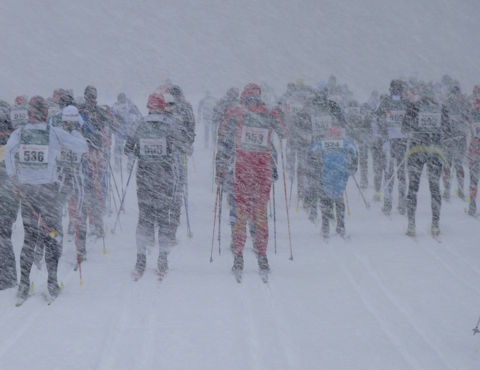 Annett auf ungewohntem Terrain ... Annett auf ungewohntem Terrain ...