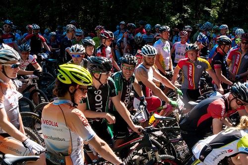 Tottn umzingelt von vielen anderer seiner Sorte Tottn umzingelt von vielen anderer seiner Sorte