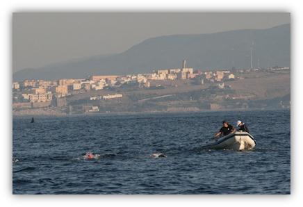 Suchbild - Wo ist der Orca? Suchbild - Wo ist der Orca?