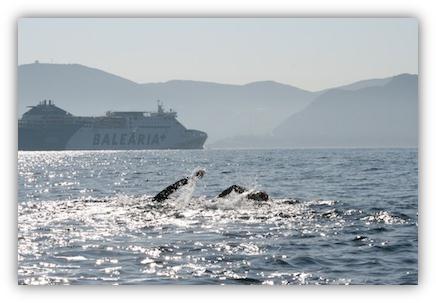 Vorsicht Schiffchen - Axel & Micha - swim2africa Vorsicht Schiffchen - Axel & Micha - swim2africa