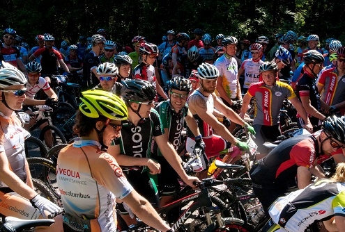 Tottn umzingelt von vielen anderer seiner Sorte