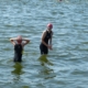 Schwimmen in Cossebaude