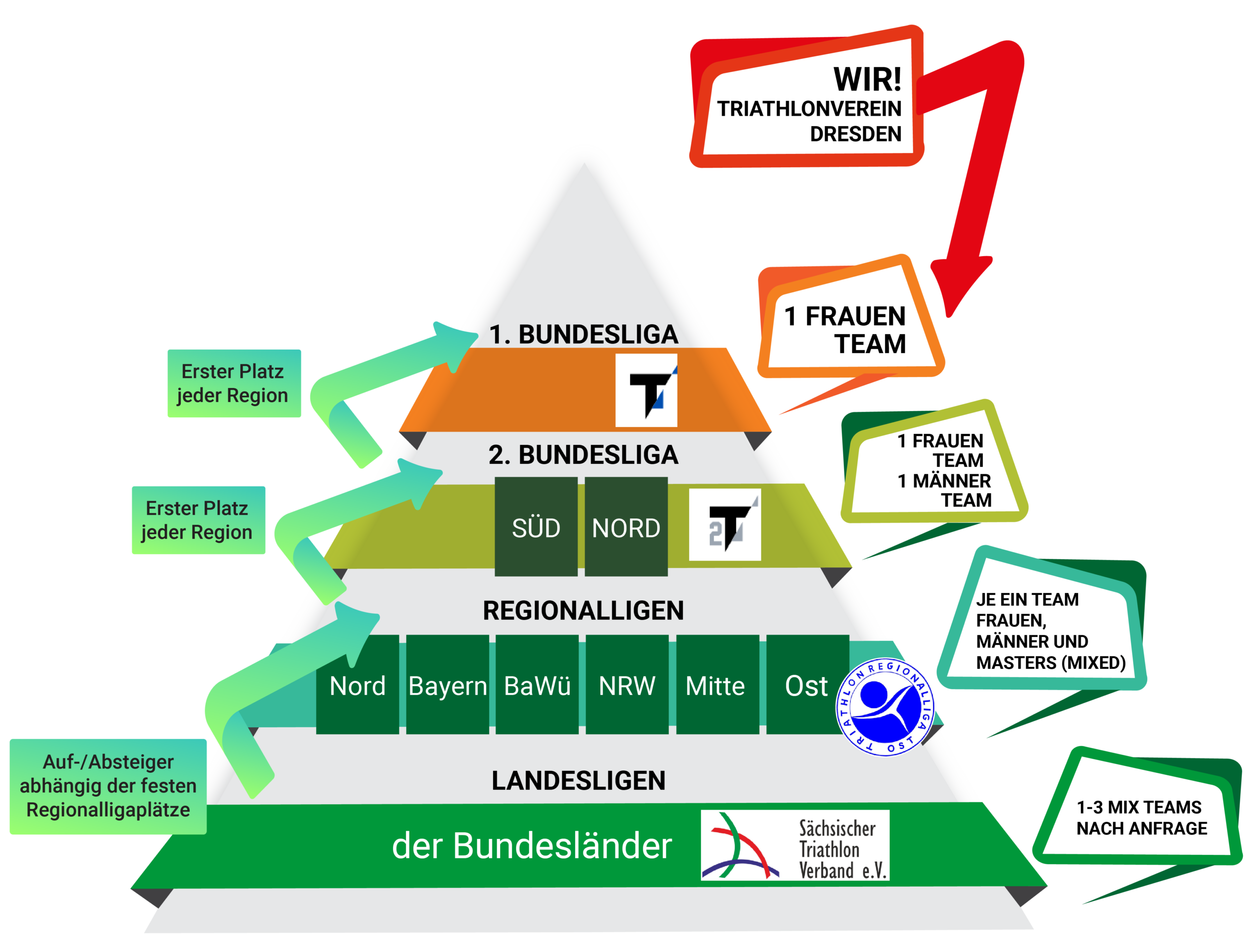 Erklärung Ligapyramide
